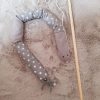 Bewertungen tatzenspass erfahrung katzenangel